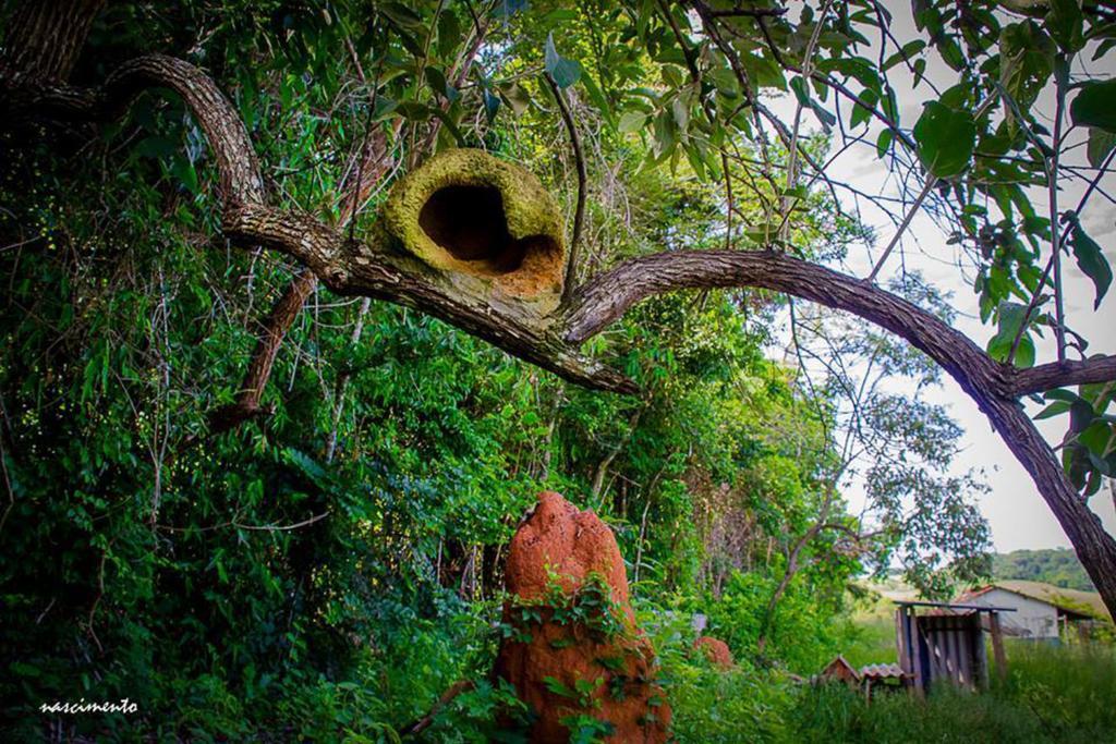 Pousada Shangrila Sao Thome São Tomé das Letras Dış mekan fotoğraf