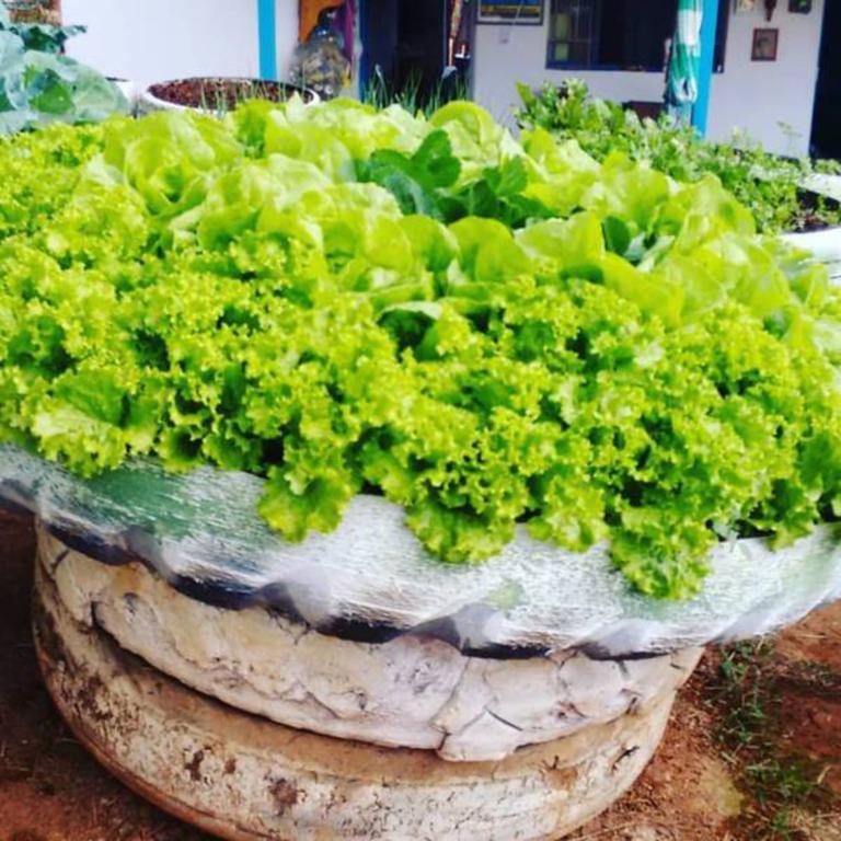 Pousada Shangrila Sao Thome São Tomé das Letras Dış mekan fotoğraf